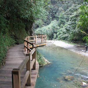 重慶旅游攻略之黑山谷景點
