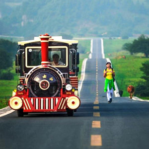 重慶旅游攻略之仙女山景點